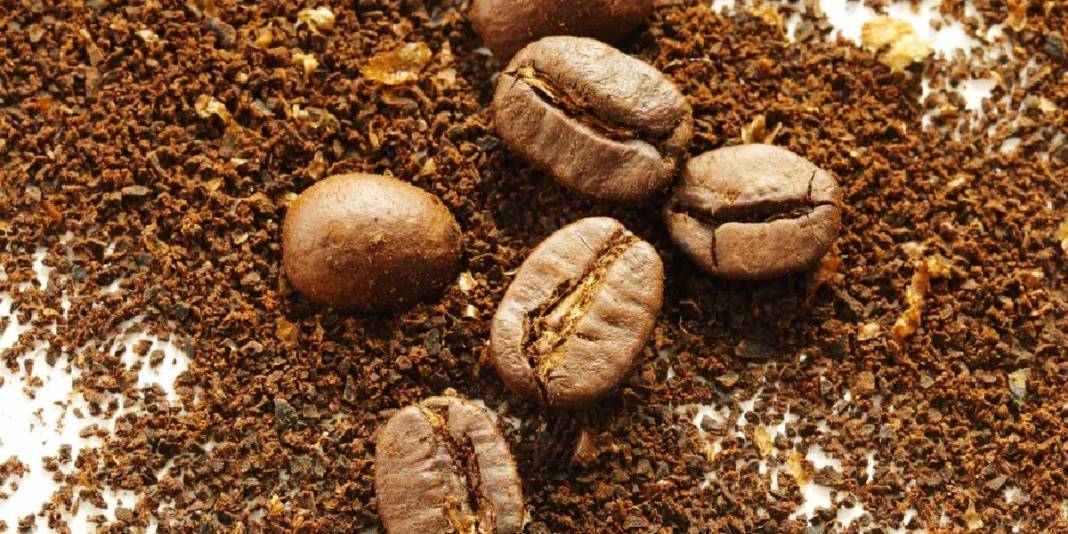 Bir bardak yetiyor! Uzmanlar en sağlıklı kahveyi açıkladı: Ne Türk kahvesi ne de filtre kahve! 2